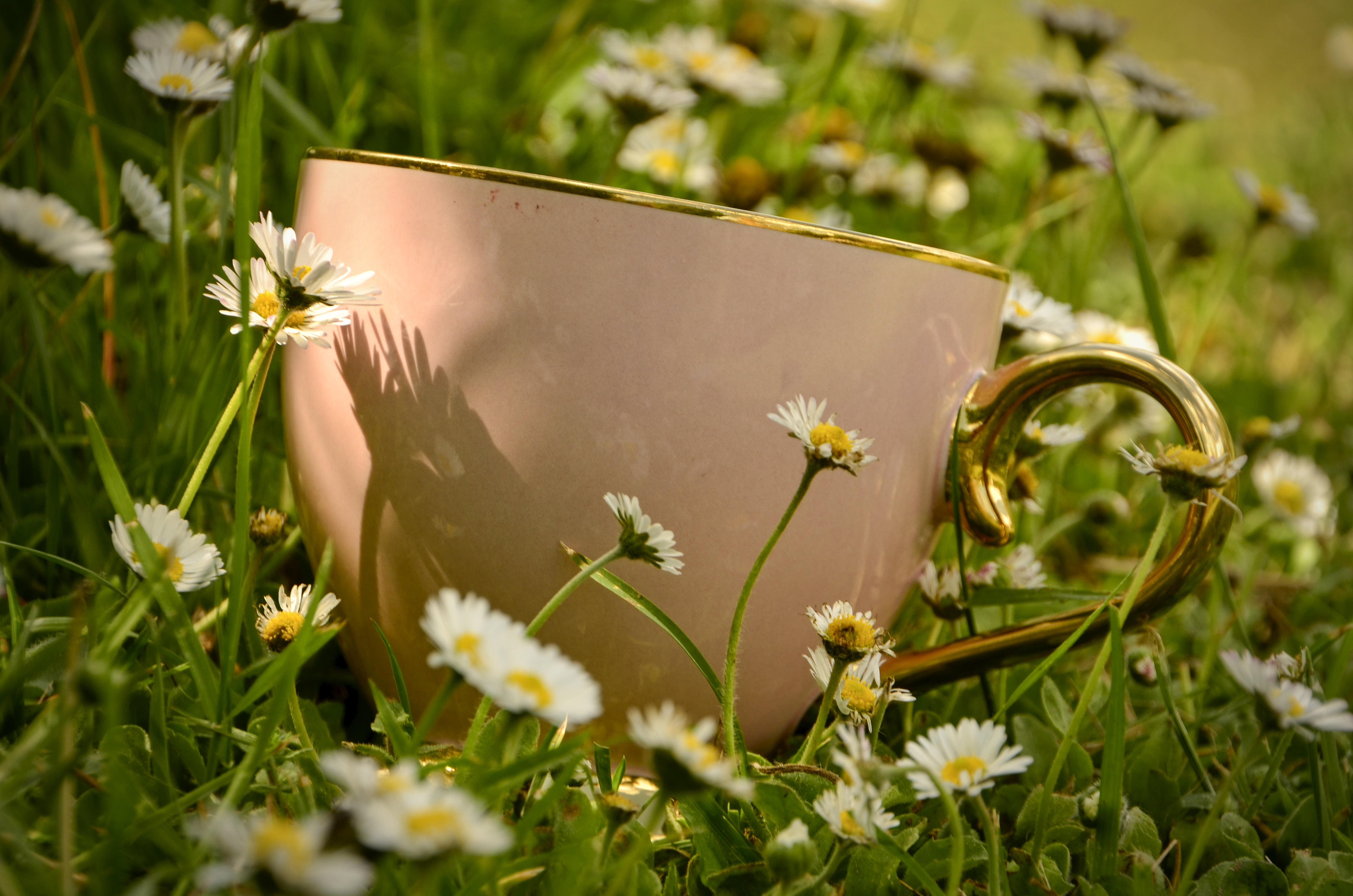 Eine Tasse Tee im Gras — Stille und Präsenz